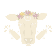 Load image into Gallery viewer, Plain Skyr